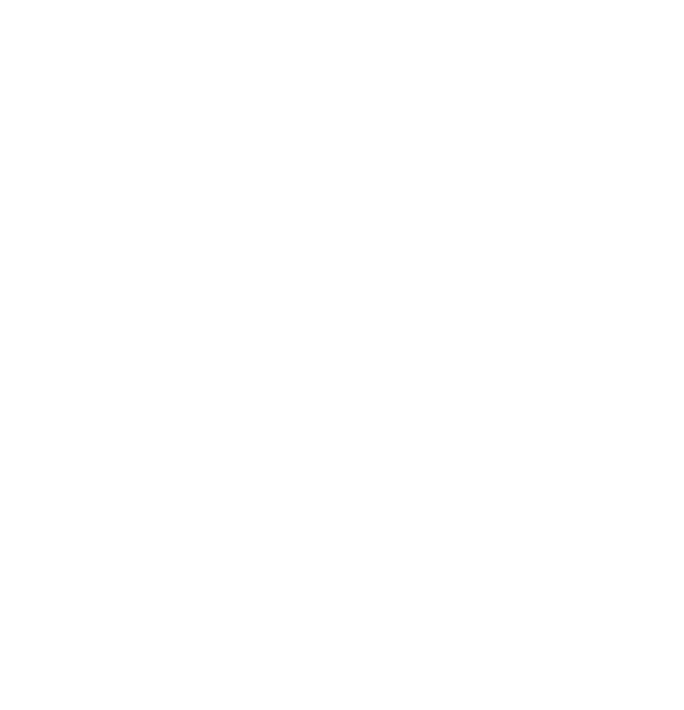 Albrecht Dürer in 1525